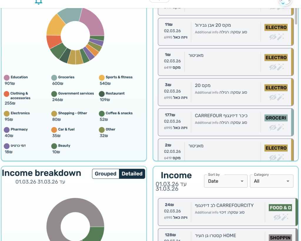 ניתוח הוצאות והכנסות